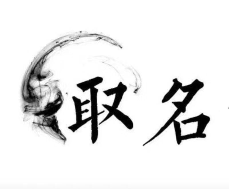  大渡口宝宝取名 大师一对一人工起名